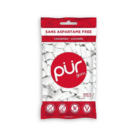 PUR - Sachet de gomme à mâcher à la cannelle - 77 g-Saveur cannelle