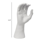 Eddie's - Présentoir de gants masculins et formulaire de main - blanc - Paquet de 2 (150390-2)-Blanc