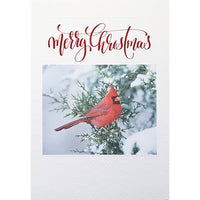 Rosedale - Cartes de souhaits avec enveloppes "Joyeux Noël" Oiseau - 5-1/2 po x 8 po - Anglais - Paquet de 12-Carte de souhaits