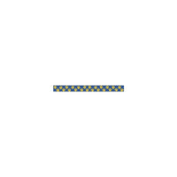 Teacher Created Resources - Bordure droite empreintes de pattes 35 x 3 po TCR4643, doré/bleu, 72/paquet (TCR4643)-Les bordures sont idéales pour les salles de classe de la maternelle au secondaire 5
