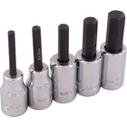 Gray Tools – Ensemble de 5 douilles métriques à tête hexagonale standard, prise de 3/8 po, 4 à 10 mm-Formats : 4, 5, 6, 8, 10 mm.