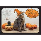 Millbrook Studios 5-3/8" x 7-3/4" cartes de voeux-valeur cartes de vœux