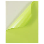 Jam Paper Étiquettes autocollantes pleine page Astrobright, 8 1/2 x 11 po, vert Terra, 10/paquet-10 par paquet