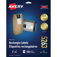 Avery – Étiquettes pour dossiers TrueBlock laser et jet d’encre – 2 po x 4 po – blanc – paquet de 250 (5264)-Étiquette permanente