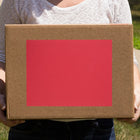 Jam Paper Étiquettes autocollantes pleine page Astrobright, 8 1/2 x 11 po, rouge comète, 10/paquet-5
