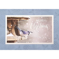 Rosedale - Cartes de souhaits avec enveloppes "Joyeux Noël" Geai bleu - 5-1/2 po x 8 po - Anglais - Paquet de 12-Carte de souhaits
