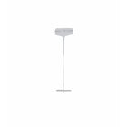 Eddie's - Barbes d'etiquetage/attaches pour pistolets d'etiquetage standard - 1" - Transparentes - 5 000 paquets-Barbes et attaches d'etiquetage pour pistolets d'etiquetage standard