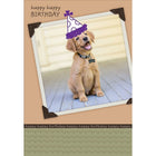 Millbrook Studios – Cartes de souhaits et enveloppes, Happy Happy Birthday, 5 3/8 x 7 3/4 po, 18/paquet (06149)-Imprimé sur papier cartonné non couché