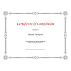 Certificats Elite Julian, papier doublé argent-1