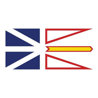 Drapeau provincial, Terre-Neuve, 36 x 60 po-Drapeau rectangulaire de 36 x 60 po