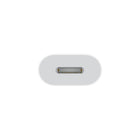 Apple - Adaptateur USB-C vers Lightning - Blanc-Couleur: Blanc