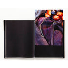Profolio - Itoya livre rangement presentation - 11 po L x 14 po H-24 feuilles 48 pages