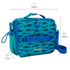 Bentgo - Sac à Lunch - Requin-Dimensions: 11 P x 9,5 L x 3,5  H po
