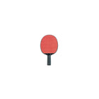 Pagaie de tennis de table Champion Sports, paquet de 6-1