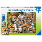 Ravensburger - puzzle Petit somme​ 200 pièces-À propos de ce puzzle de 200 pièces : étendez-vous et installez-vous confortablement avec notre lion langoureux, nos tigres fatigués et notre léopard décontracté pendant que vous résolvez notre scène relaxante de Petit somme