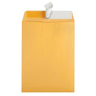 Staples - Enveloppes kraft pour catalogue avec fermeture QuickStrip, 9 x 12 po, 24 lb, brun, boîte de 100-Papier kraft brun résistant de 24 lb qui dissimule entièrement le contenu