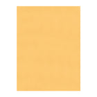 Simply – Enveloppes kraft pour catalogues, 9 po x 12 po, bte/250, avec colle-Joints au centre et au bas se chevauchant pour une résistance accrue