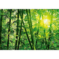 Ideal Decor – Mural Bamboo Forest, 144 x 100 po-Mesure 12 pi x 8 pi 4 po