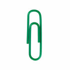 JAM PAPER - Colore norme 1" Trombones, Vert, 3 Paquets de 100-Trombones de qualite superieure fabriques à partir de fil d'acier recouvert de vinyle de haute qualite.