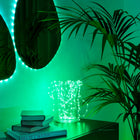Twinkly - Guirlande lumineuse multicoloure à 60 lumières de 10 pieds Dots avec fil transparent - USB-Miniaturisé - Dots se débarrasse des lampes LED encombrantes en les rendant presque invisibles.
