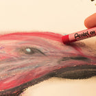 Pentel Arts Pastels à l'huile - Ensemble de 12 couleurs-Pastels ronds, idéal pour débutants et confirmés