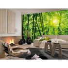Ideal Decor – Mural Bamboo Forest, 144 x 100 po-Comprend 8 panneaux