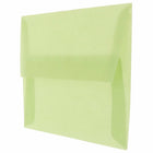 JAM Paper Enveloppes translucides A10, vert feuille, 50/pqt-Intérieur vierge où écrire un mot personnalisé