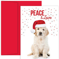 Ensemble cartes Noël vierges avec-1