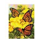 Royal & Langnickel - Peinture par numeros Majestic Monarchs-7 peintures acryliques et 1 pinceau taklon de qualite
