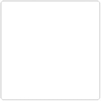 SPC - Étiquette Adhésive Perforée à Tansfert Thermique - 4 po x 4 po - Mandrin de 7,6 cm - Blanc - Paquet de 1000-Étiquette adhésive Blanc Thermique