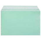 JAM Paper Pochette de cellophane, 5 3/7 x 8 5/8 po, vert, 100/paquet-Dimensions : 5 3/7 haut. x 8 5/8 larg. x 1/5 prof. (po)