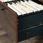 Sauder - La Collection Nova Loft Classeur latéral - Finition Grand Walnut-30,236 po L x 17,244 po L x 29,528 po H
