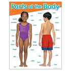 TREND companies, Inc. Tableau d'apprentissage des parties du corps, 17" x 22"-3