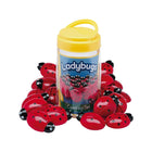 Coccinelles de porte jaune compter les pierres, nombres 0-10-Apprendre les concepts mathématiques clés par le jeu