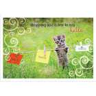 Millbrook Studios – Cartes de souhaits et enveloppes, Dropping You A Line, 5 3/8 x 7 3/4 po, 18/paquet (06718)-Imprimées sur papier cartonné non couché