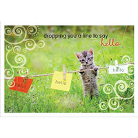 Millbrook Studios – Cartes de souhaits et enveloppes, Dropping You A Line, 5 3/8 x 7 3/4 po, 18/paquet (06718)-Imprimées sur papier cartonné non couché