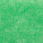 Shurtech - Ruban pour Peindre Painter's Mate, vert, 18 mm l x 55 m L (671394)-Ruban pour Peindre