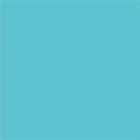 North American Paper Inc. - Papier de bricolage, bleu clair, 12 po x 18 po, 48 feuilles-18 po x 12 po (portrait)