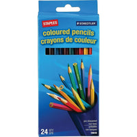 Staples/Staedtler - Crayons de couleur - paquet de 24-Crayons de couleurs