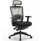 MotionGrey - Cloud Mesh Series - Chaise de bureau ergonomique pour bureau d'ordinateur executif - Noir-Support dorsal ergonomique