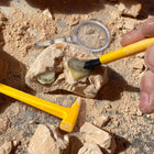 Educational Insights - Kit d'excavation de fossiles GeoSafari® Jr.-Parfait pour l'apprentissage des stim ! Les enfants s'entraînent avec de vrais outils scientifiques et effectuent une simulation réaliste d'un processus d'excavation dans le monde réel.
