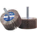 Merit - Disques À Lamelles - Meules À Lamelles Abrasives Montées, Oxyde D'Aluminium/Céramique, 2po x 1po x 1/4po, paquet de 12-Matériau abrasif Oxyde d'aluminium