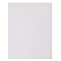 North American Paper - Carton bristol 4 épaisseurs, 22 po x 28 po, 48 feuilles, blanc-22 po x 28 po