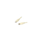 StarTech ® Câble USB A/A mâle à femelle USBEXTAA6 de 6 pi-Interface USB 2.0 haute vitesse pouvant transférer des données à des vitesses de 482 Mbit/s