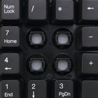 Adesso - WKB-6010UB Clavier numérique sans fil à 18 touches résistant aux éclaboussures-Les interrupteurs à clé à membrane offrent une expérience de frappe plus réactive et plus silencieuse pouvant durer jusqu'à cinq millions de frappes