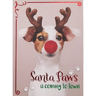 Rosedale 5-1/2" x 8" cartes de voeux-valeur cartes de vœux