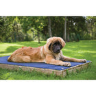 TechNiche – Tapis rafraîchissant pour chien Hyperkewl, bleu, moyen (8511 RB M)-Peut être utilisé en intérieur comme en extérieur