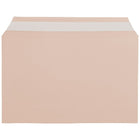 JAM Paper Pochettes de cellophane, 5 3/7 x 8 5/8 po, pêche, 100/paquet-Dimensions : 5 3/7 haut. x 8 5/8 larg. x 1/5 prof. (po)