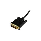 StarTech  Câble convertisseur actif Mini DisplayPortMC vers DVI de 6 pi, adaptateur DP vers DVI, 2560 x 1600, noir-Permet d’économiser sur les coûts de mise à jour en connectant votre ordinateur Mini DisplayPort à un écran ou à un projecteur DVI