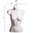 Eddie's - Formes de chemises suspendues féminines - PVC - Blanc - Paquet de 2 (155729-2)-Blanc